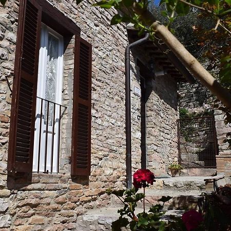 Apartments Aurora Delle Rose Assisi Dış mekan fotoğraf