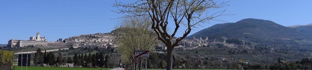Apartments Aurora Delle Rose Assisi Dış mekan fotoğraf