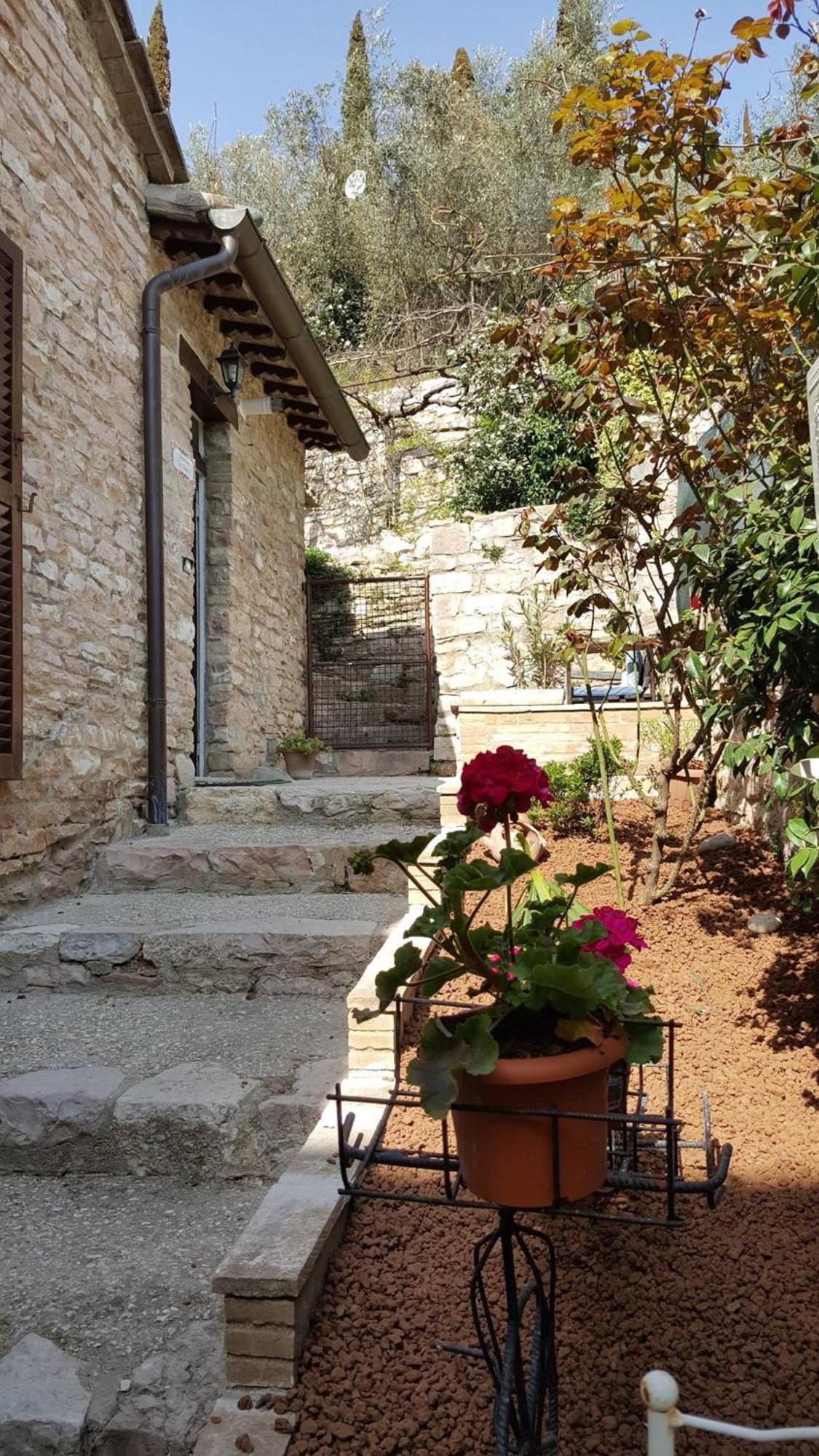 Apartments Aurora Delle Rose Assisi Dış mekan fotoğraf