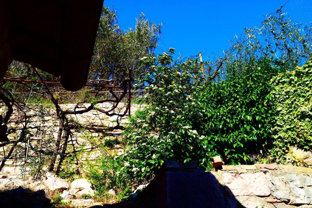 Apartments Aurora Delle Rose Assisi Dış mekan fotoğraf