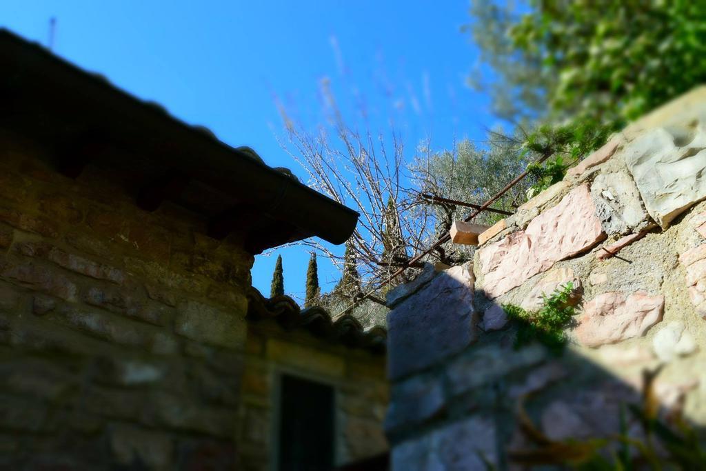 Apartments Aurora Delle Rose Assisi Dış mekan fotoğraf