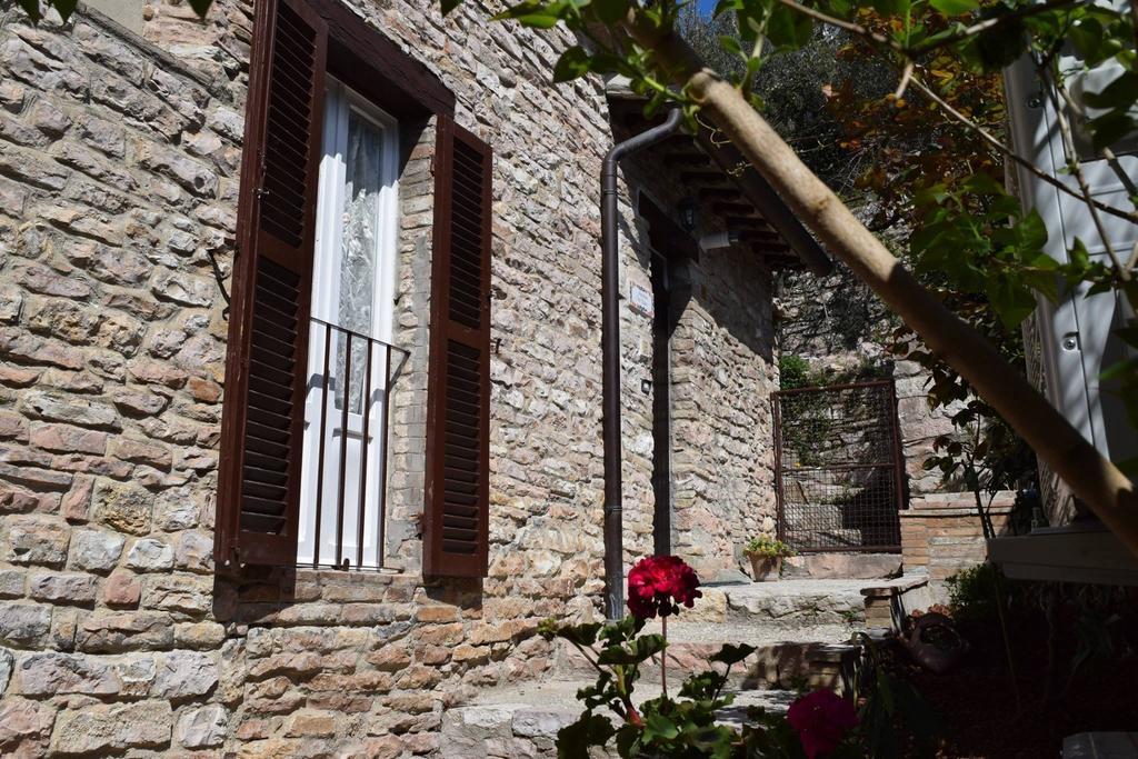 Apartments Aurora Delle Rose Assisi Dış mekan fotoğraf