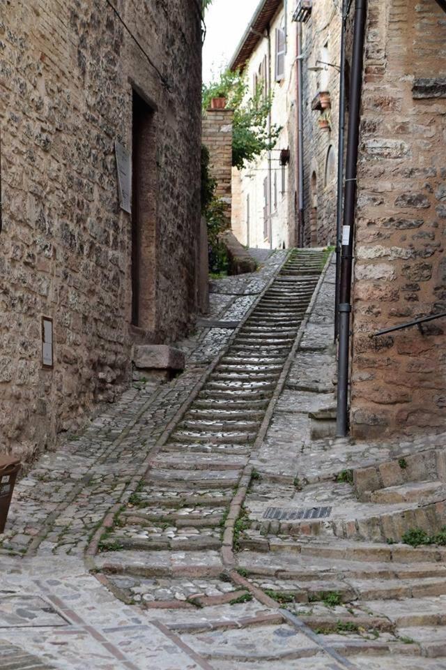 Apartments Aurora Delle Rose Assisi Dış mekan fotoğraf