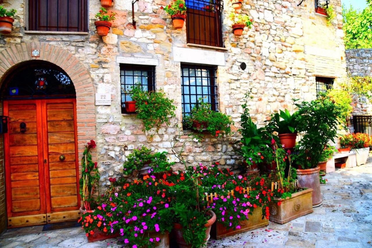 Apartments Aurora Delle Rose Assisi Dış mekan fotoğraf