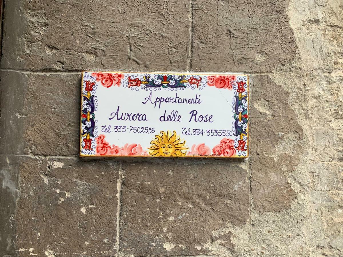 Apartments Aurora Delle Rose Assisi Dış mekan fotoğraf